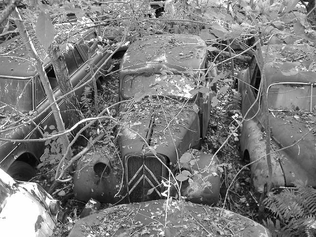 Autofriedhof - 016.JPG - Historischer Autofriedhof,    Gürbetal (CH)